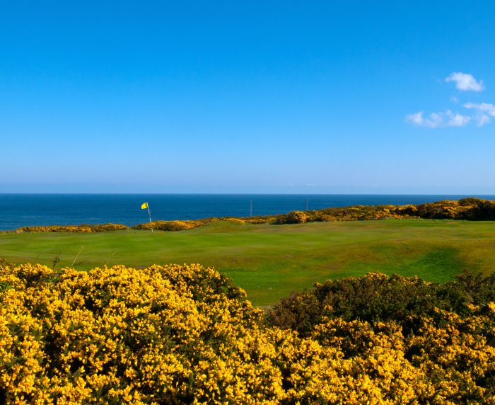 Royal Tarlair Golf Club